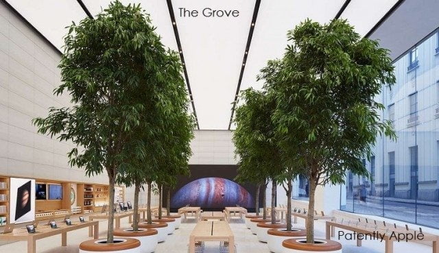 apple the grove patent drzewa sklep